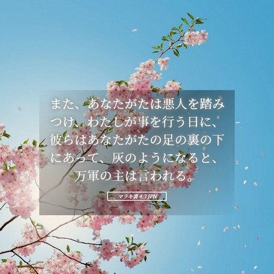 Picture 05 - マラキ書 4:3 JPN - また、あなたがたは悪人を踏みつけ - Bible Verse Picture