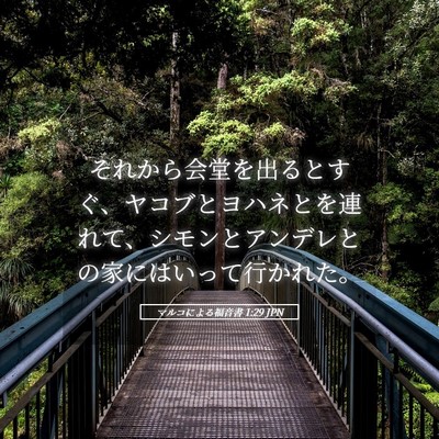 Picture 05 - マルコによる福音書 1:29 JPN - それから会堂を出るとすぐ、ヤコブ - Bible Verse Picture