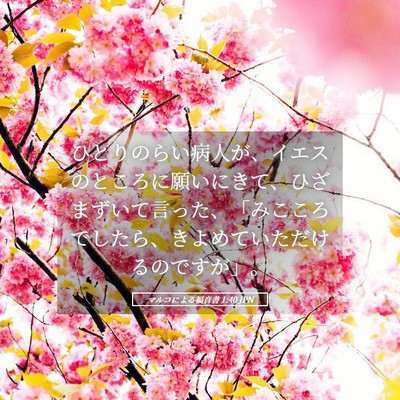 Picture 05 - マルコによる福音書 1:40 JPN - ひとりのらい病人が、イエスのとこ - Bible Verse Picture