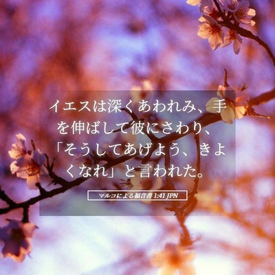 Picture 05 - マルコによる福音書 1:41 JPN - イエスは深くあわれみ、手を伸ばし - Bible Verse Picture