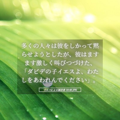 Picture 05 - マルコによる福音書 10:48 JPN - 多くの人々は彼をしかって黙らせよ - Bible Verse Picture