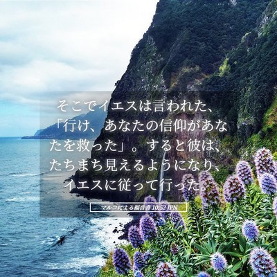 Picture 05 - マルコによる福音書 10:52 JPN - そこでイエスは言われた、「行け、 - Bible Verse Picture