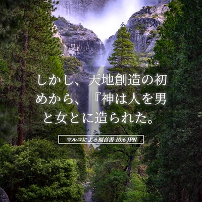 Picture 05 - マルコによる福音書 10:6 JPN - しかし、天地創造の初めから、『神 - Bible Verse Picture
