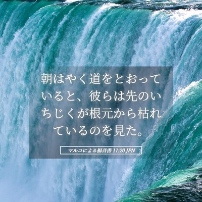 Picture 05 - マルコによる福音書 11:20 JPN - 朝はやく道をとおっていると、彼ら - Bible Verse Picture