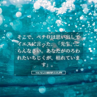 Picture 05 - マルコによる福音書 11:21 JPN - そこで、ペテロは思い出してイエス - Bible Verse Picture