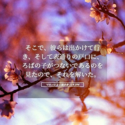Picture 05 - マルコによる福音書 11:4 JPN - そこで、彼らは出かけて行き、そし - Bible Verse Picture