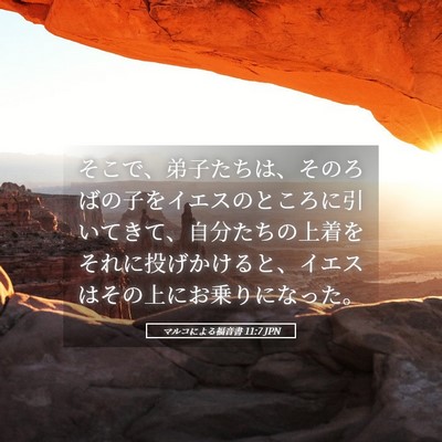 Picture 05 - マルコによる福音書 11:7 JPN - そこで、弟子たちは、そのろばの子 - Bible Verse Picture