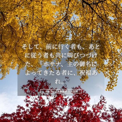 Picture 05 - マルコによる福音書 11:9 JPN - そして、前に行く者も、あとに従う - Bible Verse Picture