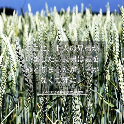 Picture 05 - マルコによる福音書 12:20 JPN - ここに、七人の兄弟がいました。長 - Bible Verse Picture