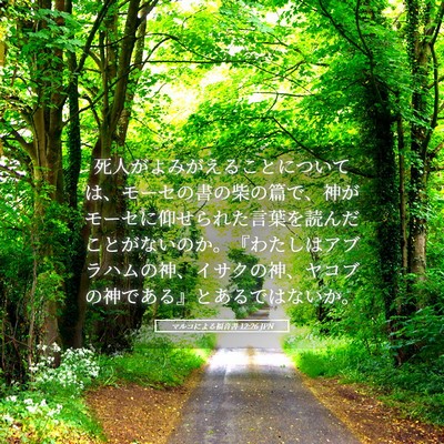 Picture 05 - マルコによる福音書 12:26 JPN - 死人がよみがえることについては、 - Bible Verse Picture