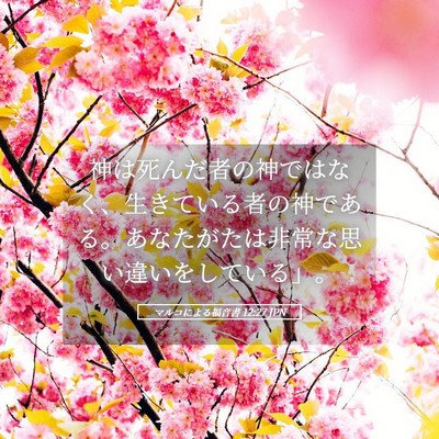 Picture 05 - マルコによる福音書 12:27 JPN - 神は死んだ者の神ではなく、生きて - Bible Verse Picture