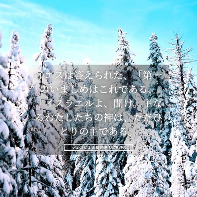 Picture 05 - マルコによる福音書 12:29 JPN - イエスは答えられた、「第一のいま - Bible Verse Picture