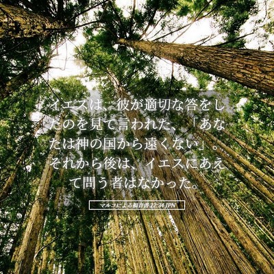 Picture 05 - マルコによる福音書 12:34 JPN - イエスは、彼が適切な答をしたのを - Bible Verse Picture