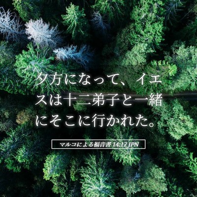 Picture 05 - マルコによる福音書 14:17 JPN - 夕方になって、イエスは十二弟子と - Bible Verse Picture