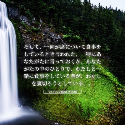 Picture 05 - マルコによる福音書 14:18 JPN - そして、一同が席について食事をし - Bible Verse Picture