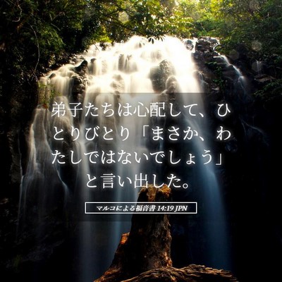 Picture 05 - マルコによる福音書 14:19 JPN - 弟子たちは心配して、ひとりびとり - Bible Verse Picture