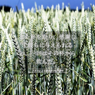 Picture 05 - マルコによる福音書 14:23 JPN - また杯を取り、感謝して彼らに与え - Bible Verse Picture
