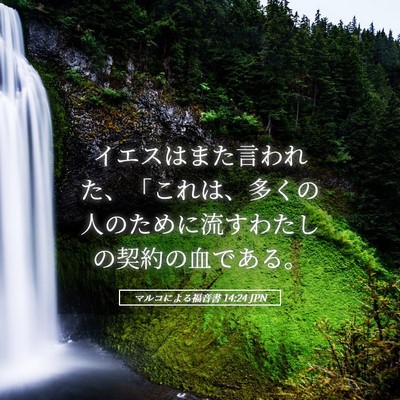 Picture 05 - マルコによる福音書 14:24 JPN - イエスはまた言われた、「これは、 - Bible Verse Picture