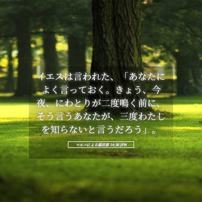 Picture 05 - マルコによる福音書 14:30 JPN - イエスは言われた、「あなたによく - Bible Verse Picture