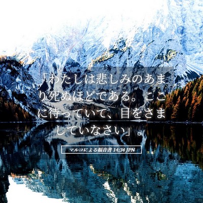 Picture 05 - マルコによる福音書 14:34 JPN - 「わたしは悲しみのあまり死ぬほど - Bible Verse Picture