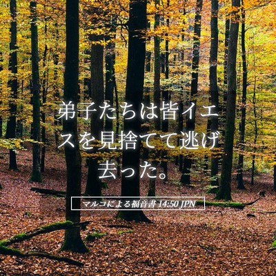 Picture 05 - マルコによる福音書 14:50 JPN - 弟子たちは皆イエスを見捨てて逃げ - Bible Verse Picture