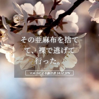 Picture 05 - マルコによる福音書 14:52 JPN - その亜麻布を捨てて、裸で逃げて行 - Bible Verse Picture