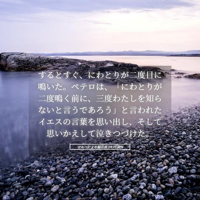 Picture 05 - マルコによる福音書 14:72 JPN - するとすぐ、にわとりが二度目に鳴 - Bible Verse Picture