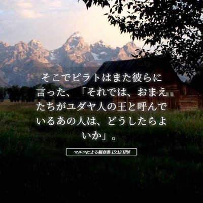 Picture 05 - マルコによる福音書 15:12 JPN - そこでピラトはまた彼らに言った、 - Bible Verse Picture