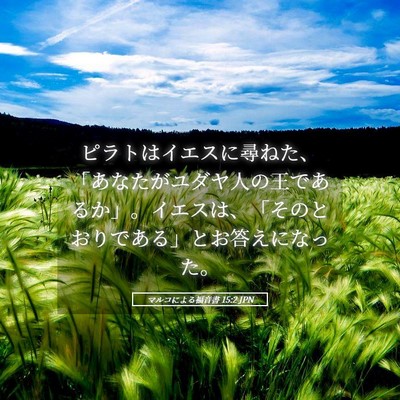 Picture 05 - マルコによる福音書 15:2 JPN - ピラトはイエスに尋ねた、「あなた - Bible Verse Picture