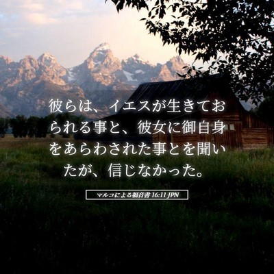 Picture 05 - マルコによる福音書 16:11 JPN - 彼らは、イエスが生きておられる事 - Bible Verse Picture