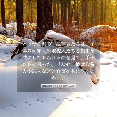 Picture 05 - マルコによる福音書 2:16 JPN - パリサイ派の律法学者たちは、イエ - Bible Verse Picture