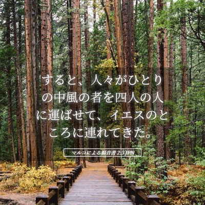 Picture 05 - マルコによる福音書 2:3 JPN - すると、人々がひとりの中風の者を - Bible Verse Picture