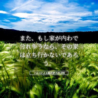 Picture 05 - マルコによる福音書 3:25 JPN - また、もし家が内わで分れ争うなら - Bible Verse Picture