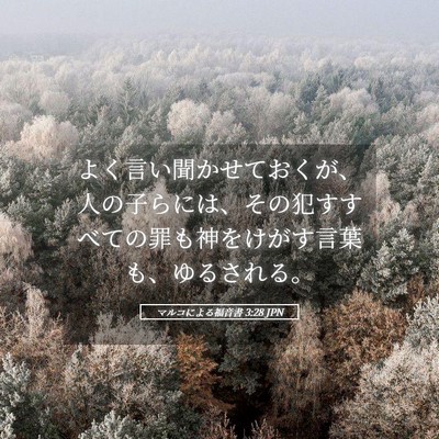 Picture 05 - マルコによる福音書 3:28 JPN - よく言い聞かせておくが、人の子ら - Bible Verse Picture