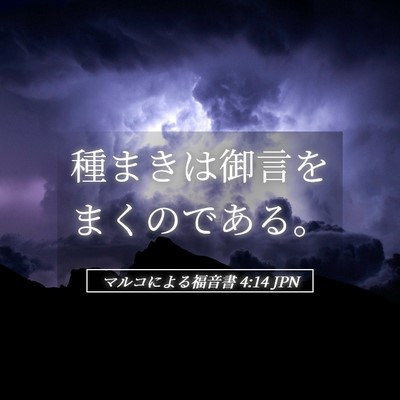Picture 05 - マルコによる福音書 4:14 JPN - 種まきは御言をまくのである。 - Bible Verse Picture