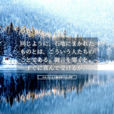 Picture 05 - マルコによる福音書 4:16 JPN - 同じように、石地にまかれたものと - Bible Verse Picture