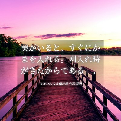 Picture 05 - マルコによる福音書 4:29 JPN - 実がいると、すぐにかまを入れる。 - Bible Verse Picture