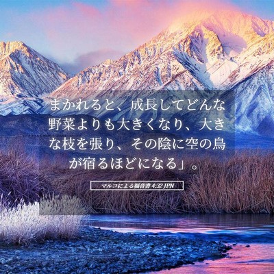 Picture 05 - マルコによる福音書 4:32 JPN - まかれると、成長してどんな野菜よ - Bible Verse Picture
