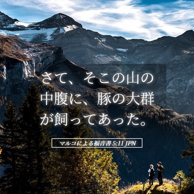 Picture 05 - マルコによる福音書 5:11 JPN - さて、そこの山の中腹に、豚の大群 - Bible Verse Picture