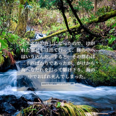 Picture 05 - マルコによる福音書 5:13 JPN - イエスがお許しになったので、けが - Bible Verse Picture