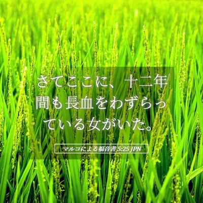 Picture 05 - マルコによる福音書 5:25 JPN - さてここに、十二年間も長血をわず - Bible Verse Picture