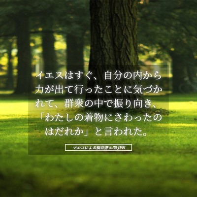 Picture 05 - マルコによる福音書 5:30 JPN - イエスはすぐ、自分の内から力が出 - Bible Verse Picture