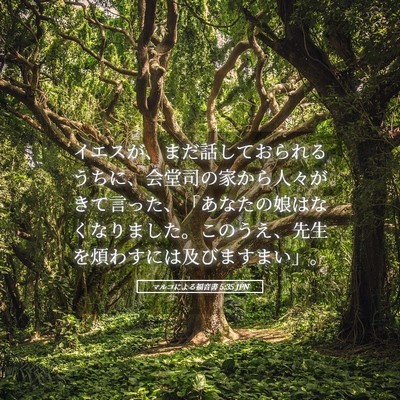 Picture 05 - マルコによる福音書 5:35 JPN - イエスが、まだ話しておられるうち - Bible Verse Picture