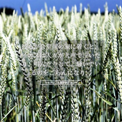Picture 05 - マルコによる福音書 5:38 JPN - 彼らが会堂司の家に着くと、イエス - Bible Verse Picture