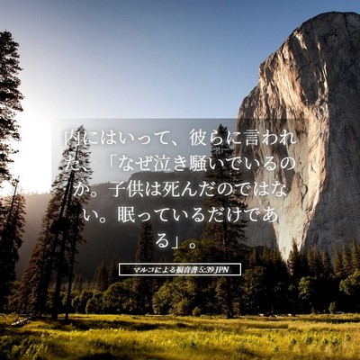 Picture 05 - マルコによる福音書 5:39 JPN - 内にはいって、彼らに言われた、「 - Bible Verse Picture