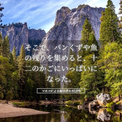 Picture 05 - マルコによる福音書 6:43 JPN - そこで、パンくずや魚の残りを集め - Bible Verse Picture