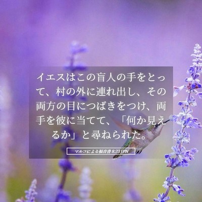 Picture 05 - マルコによる福音書 8:23 JPN - イエスはこの盲人の手をとって、村 - Bible Verse Picture