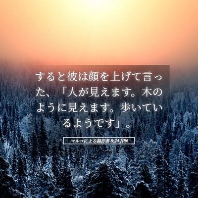 Picture 05 - マルコによる福音書 8:24 JPN - すると彼は顔を上げて言った、「人 - Bible Verse Picture