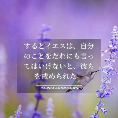 Picture 05 - マルコによる福音書 8:30 JPN - するとイエスは、自分のことをだれ - Bible Verse Picture