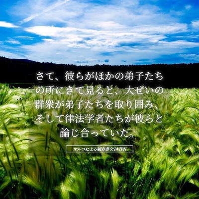 Picture 05 - マルコによる福音書 9:14 JPN - さて、彼らがほかの弟子たちの所に - Bible Verse Picture